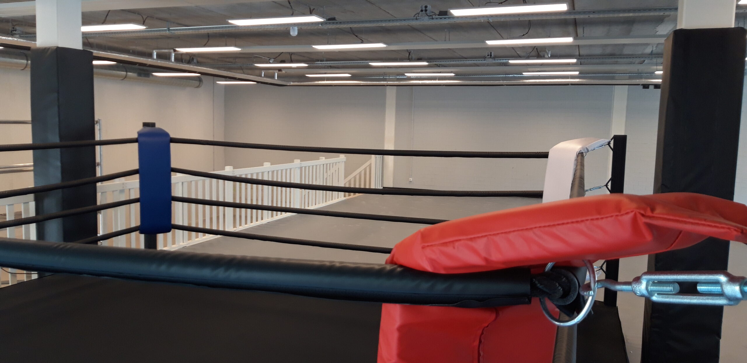 niettemin Bloedbad Bestuurbaar New location: USC School of Boxing! :: USC